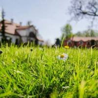 Fit Sunday – Konwencja Fitness Fit Saturday Logo